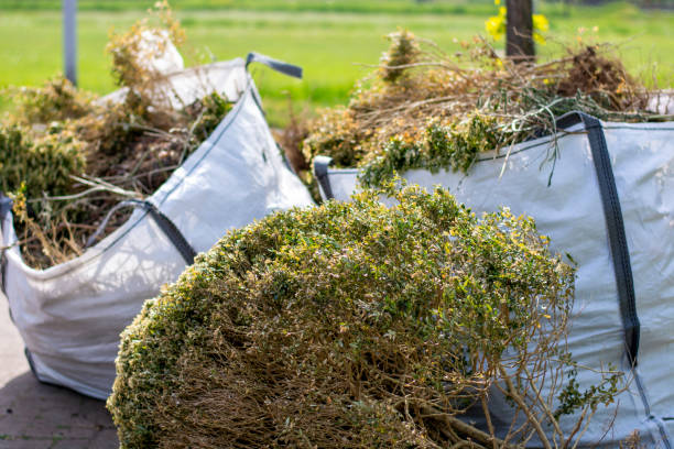 Best Same-Day Junk Removal  in Orrville, OH